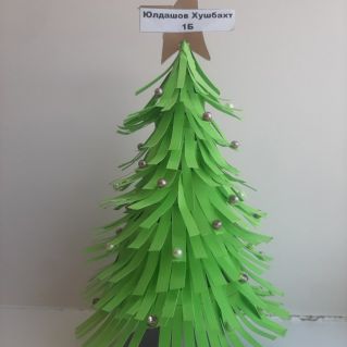 «В зелени колючей спряталась сказка»