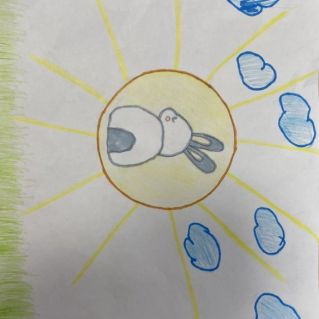 Солнце для всех