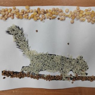 "Белая белка"