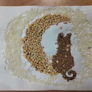 "Лунный кот"