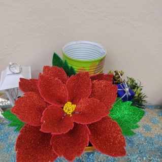 "Новогоднее чудо"