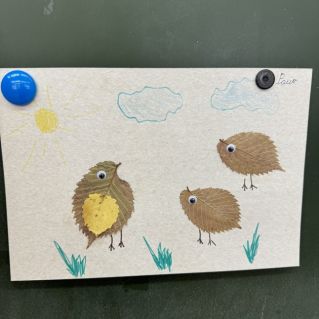 Птицы природы