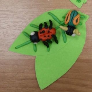 Божья коровка