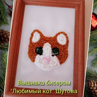 "Любимый кот"