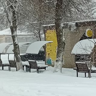 "Зима в моём городе"