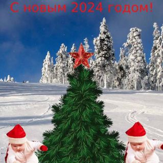 Два Деда Морозика