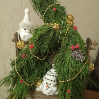 Новогодние ели