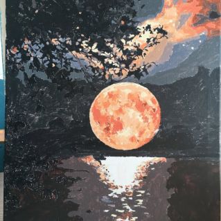 "Лунная ночь"