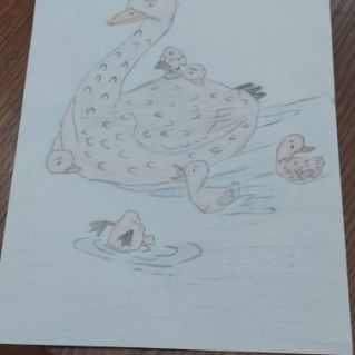 Утки вернулись