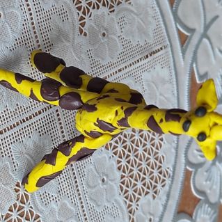 "Солнечный жираф"