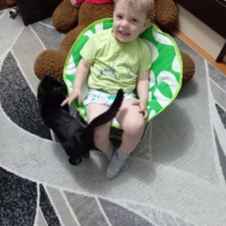 Мой любимый питомец