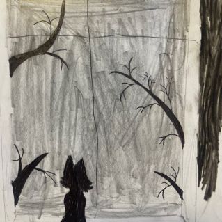 Мир глазами кота