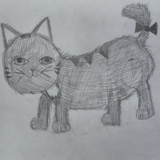 Мой котёнок