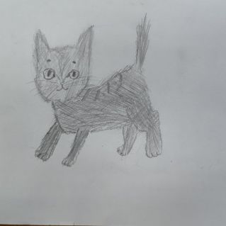 Котик-коток