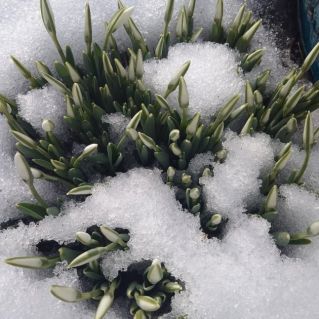 "В ожидании перемен"
