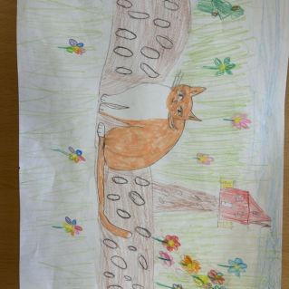 Кошечка  на прогулке