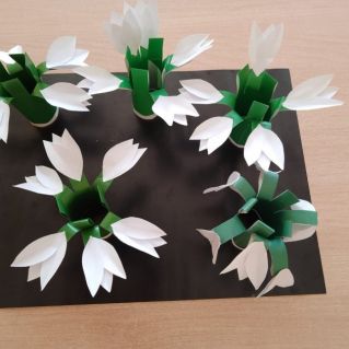 "Первые цветочки"