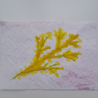 Веточка мимозы