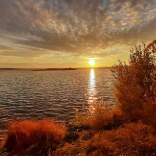 Золотая осень