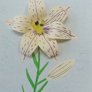 "Любимый цветок моей мамы"