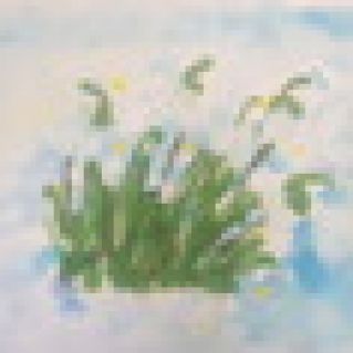 "Подснежники"