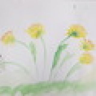 "Цветы солнца"