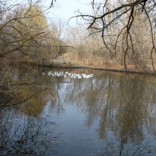 "Мир, в котором я живу"