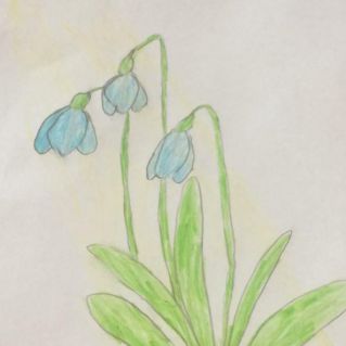 Подснежник