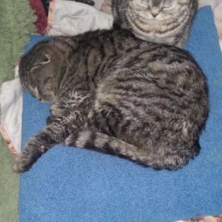 "Мама - она такая"