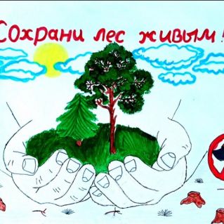 "Сохраним красоту леса"