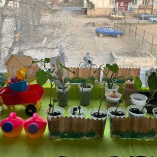 Мой огород на окошке