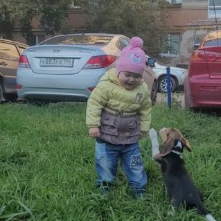 Мы с тобой друзья!