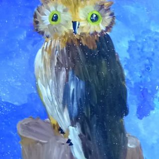 Ночная сова.