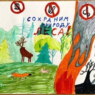 "Сохраним природу леса!"