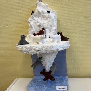 Животный мир Арктики