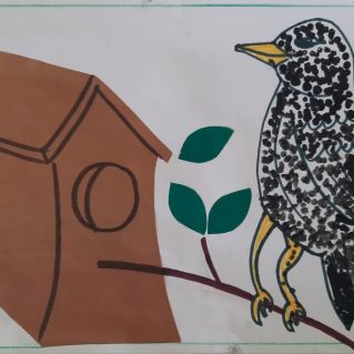 "Скворец прилетел"