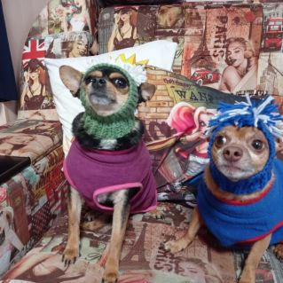 К весне готовы