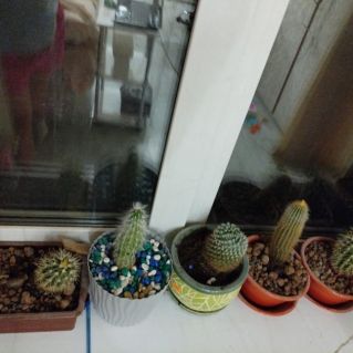 Уголок живой природы