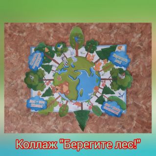 Коллаж "Берегите лес!"