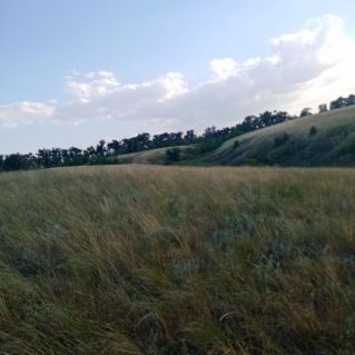 Летнее небо