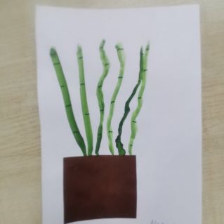 Цветок в горшочке