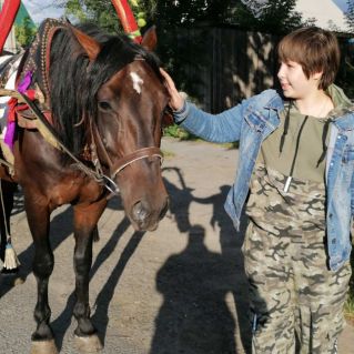 Лошадь - благородное животное.
