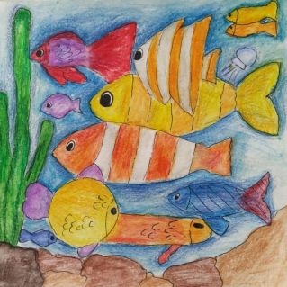 Морские жители