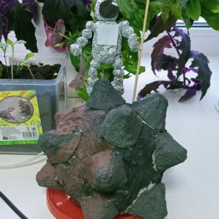 Космическая миссия