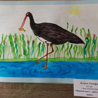 "Чёрный аист - заботливый папа"