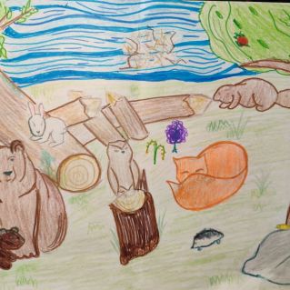 Животные леса