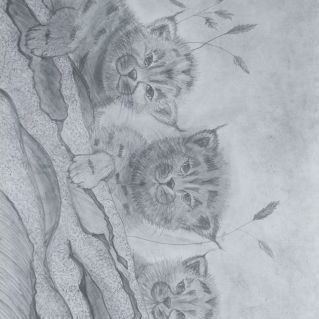 Рысята. В ожидании мамы