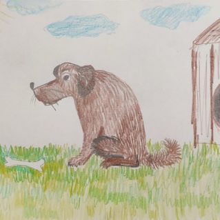 Мой четвероногий друг