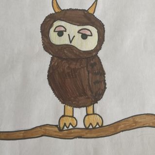 "Совушка - СОВА"