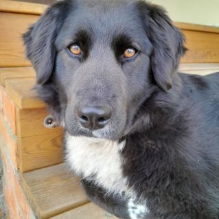 "Моя лучшая подруга-Милка"